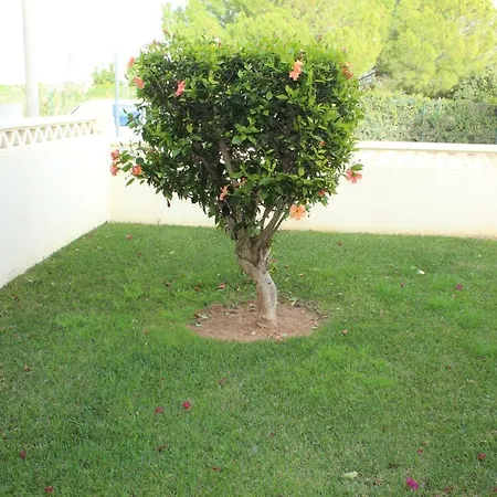 Terraços de Benagil 34 Lagoa (Algarve)